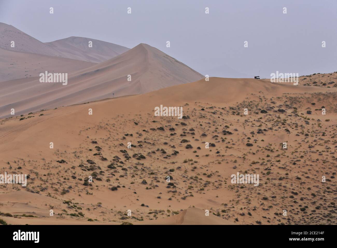 Dunes de sable mobiles et stationnaires-désert de Badain Jaran. Alxa plateau-Mongolie-intérieure-Chine-1030 Banque D'Images