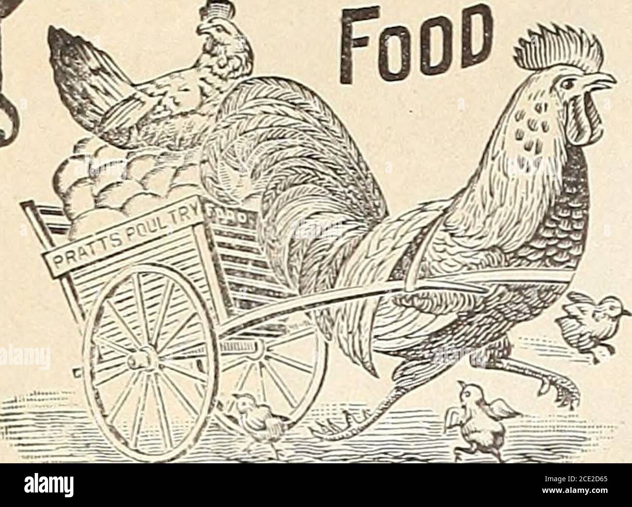 . Bolgiano's extrêmement tôt merveilleusement prolifique I.X.L. tomate . Beaucoup d'oeufs tout le temps si vous nourrissez Square- Deal Scratch Foods Bolgianos Poultry Supplies and Remedies iRAXTS volaille Food. •MARQUE DÉPOSÉE-Prats Foods and Remedies. Régulateur de volaille Prats. 10c, 25c et 60c. Prats pou Killer LOC, 25c et 50c Garantie de puissance de Prats. 25 et 50c. Prats Germathol. 25c une bouteille. Baisse annuelle de Prats. 50c un quart. Régulateur animal Prats. 25c, 50 et 75c. Conditionneur de puissance. 15 et 25c. Conkeys Poultry Remedies. ConKeys SoupCure. Conquiert la maladie de la dread de la cour de la volaille et restaure le TH Banque D'Images