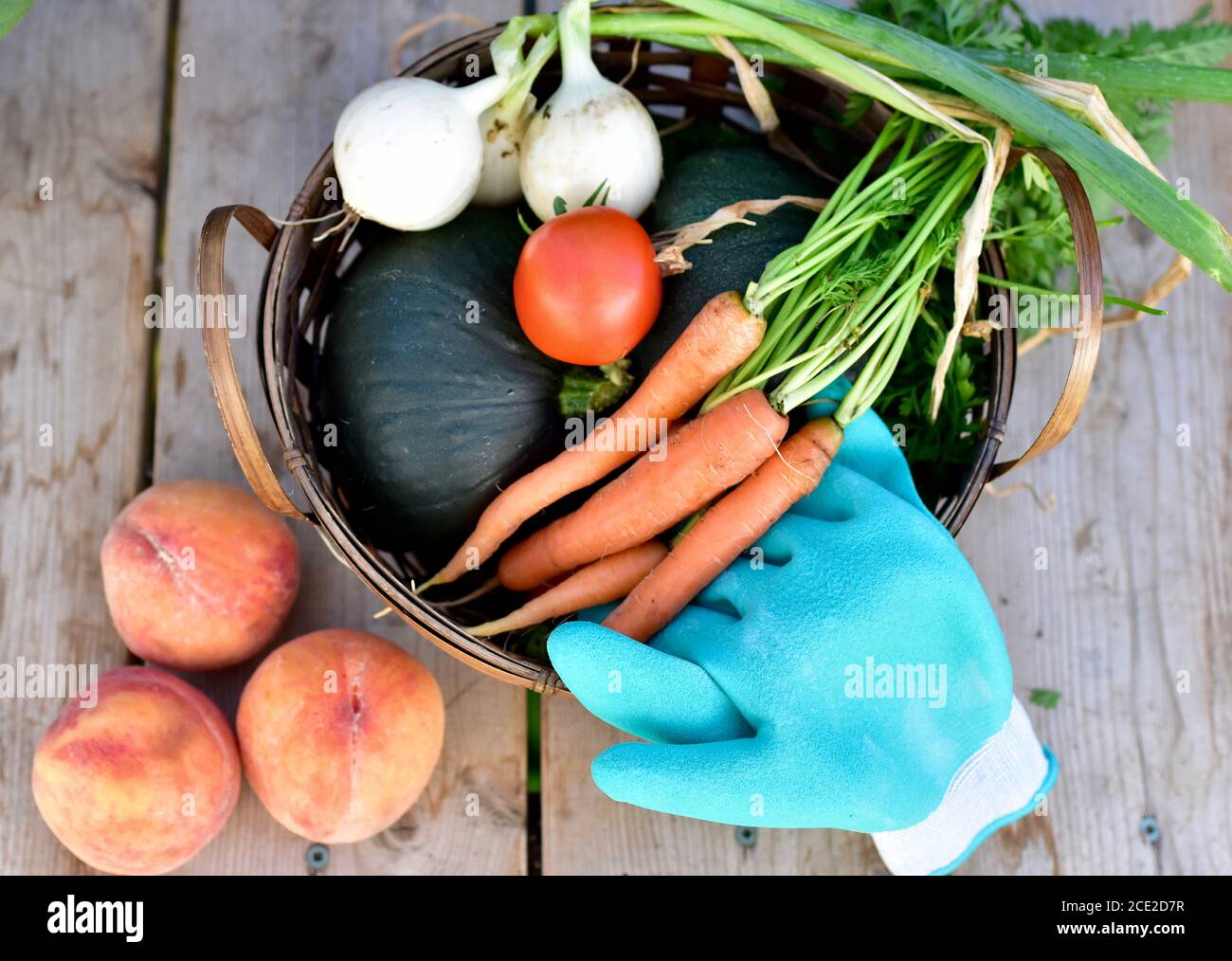 Table de travail de jardin à l'extérieur abritée avec outils de cour et en pot plantes en croissance pour l'entretien de la cour Banque D'Images