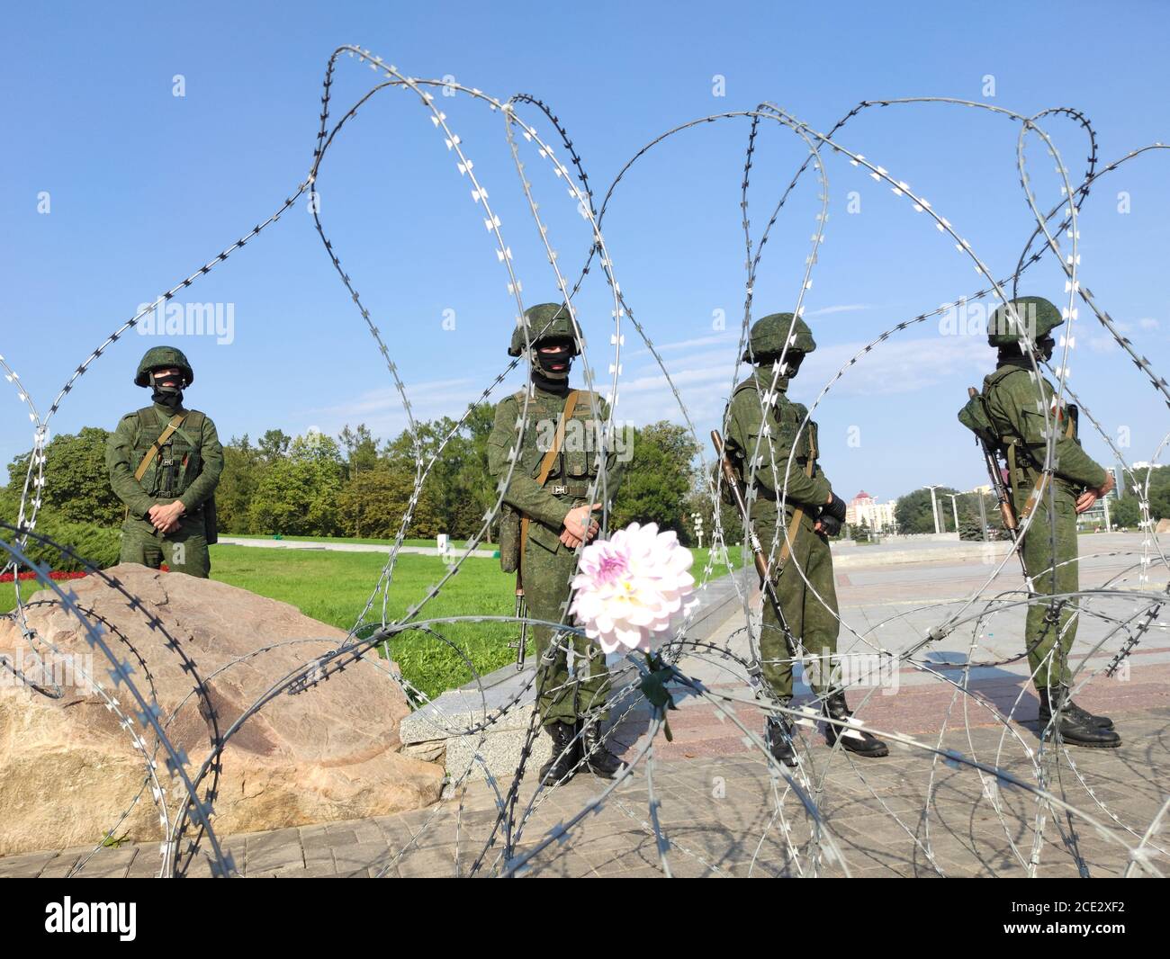 Minsk / Bélarus - août 30 2020 : l'armée bloque le Mémorial Stela de la Seconde Guerre mondiale des manifestants avec des barbelés décorés d'une fleur rose Banque D'Images