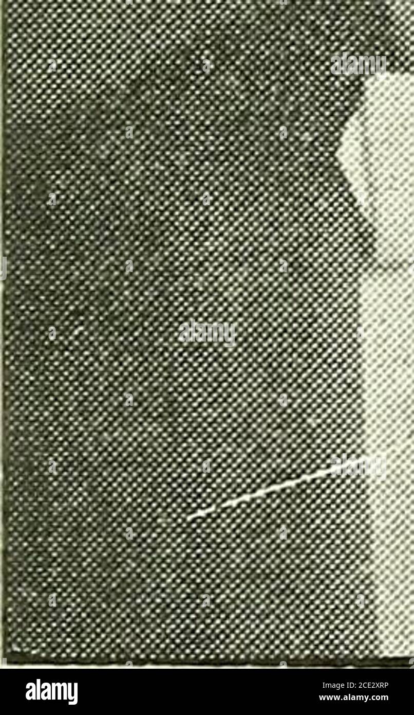 . Cent ans de médecine et de chirurgie au Missouri; revue historique et biographique des carrières des médecins et chirurgiens de l'état du Missouri, et croquis de certaines de ses institutions médicales remarquables. Banque D'Images