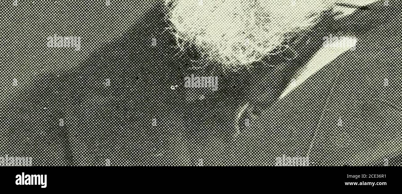 . Cent ans de médecine et de chirurgie au Missouri; revue historique et biographique des carrières des médecins et chirurgiens de l'état du Missouri, et croquis de certaines de ses institutions médicales remarquables. ;Jff. ? •; I Banque D'Images