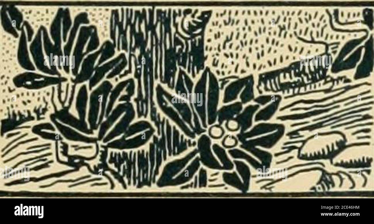 . Plus célèbres maisons de Grande-Bretagne et leurs histoires . MOUNT EDGCUMBE BLICKLING HALL RUFFORD ABBEY WILTON MAISON INVERARAY KNOLE. ILLUSTRÉ Banque D'Images