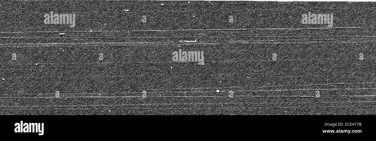 . Le cri de guerre . e aa adieu aux Sœurs Mme McFarlaneet Mme Booth, qui tous deux l'art; départ pour la côte. Dans le PrayerMeeting un seeker knelt au siège de Mercy. C'était aussi le devoir heureux de la C. O. pour inscrire un frère durant ce service. Ce frère, avec sa sœur, a suivi les Open-Airfighters jusqu'à l'arrêt le samedi soir de l'été dernier. Ils ont tous les deux gotconverti dans la réunion de prière, ihewoman est rapidement revenu à la maison de la ferme - où elle a prouvé les moyens de tourner plusieurs de sa famille vers les chemins de la justice. L'homme a fait un vrai et fidèle combat et le «Dimanche concert Banque D'Images