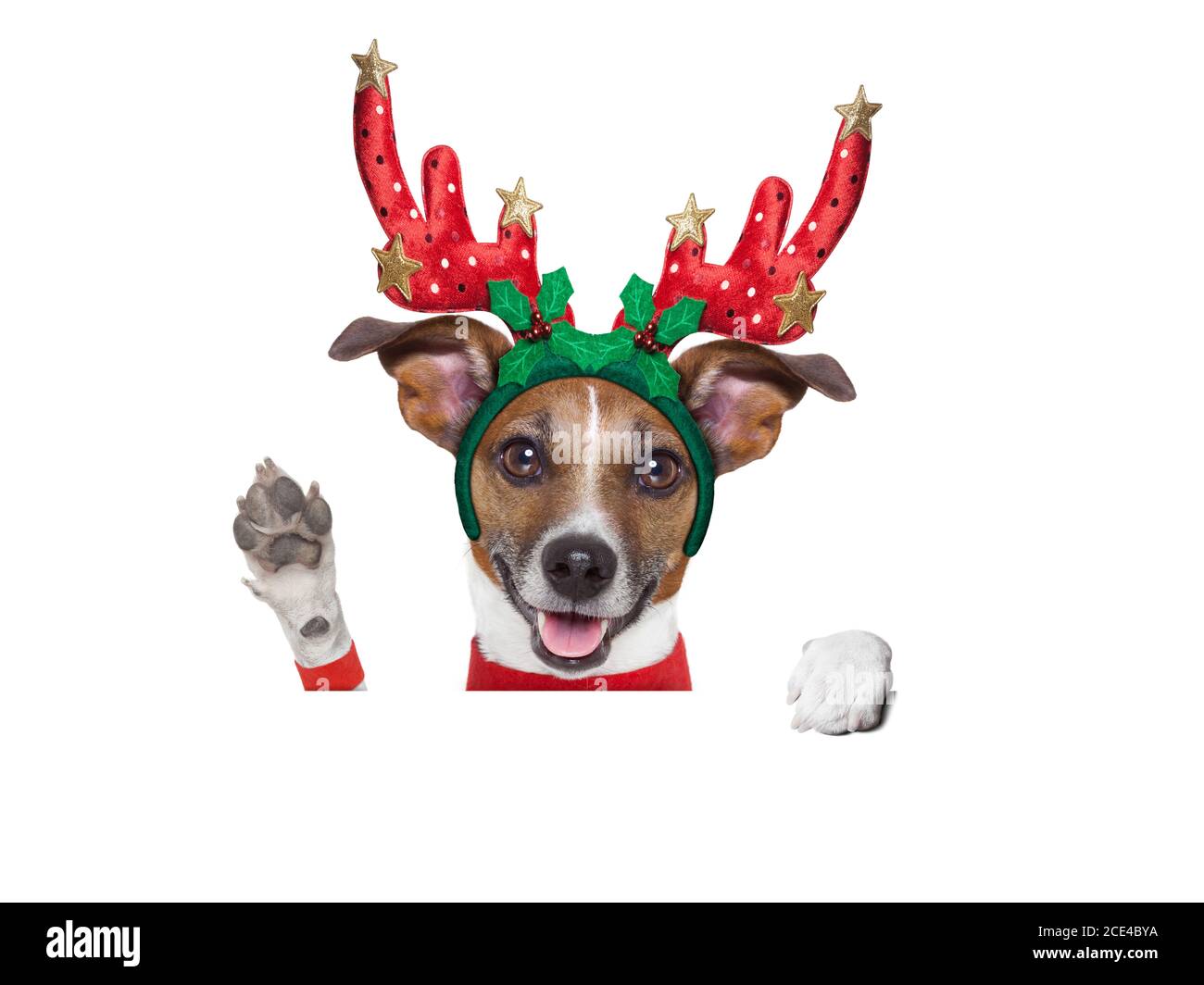 7 lettres 4 images chien avec cornes de cerf