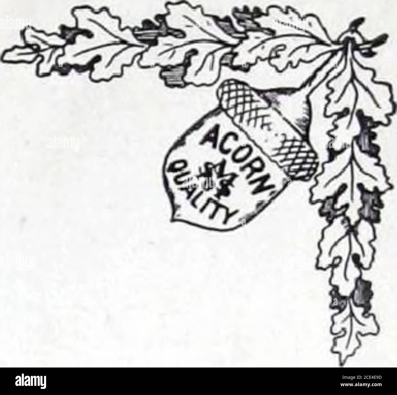 . Plafonds et murs latéraux : Catalogue no 60 . Banque D'Images