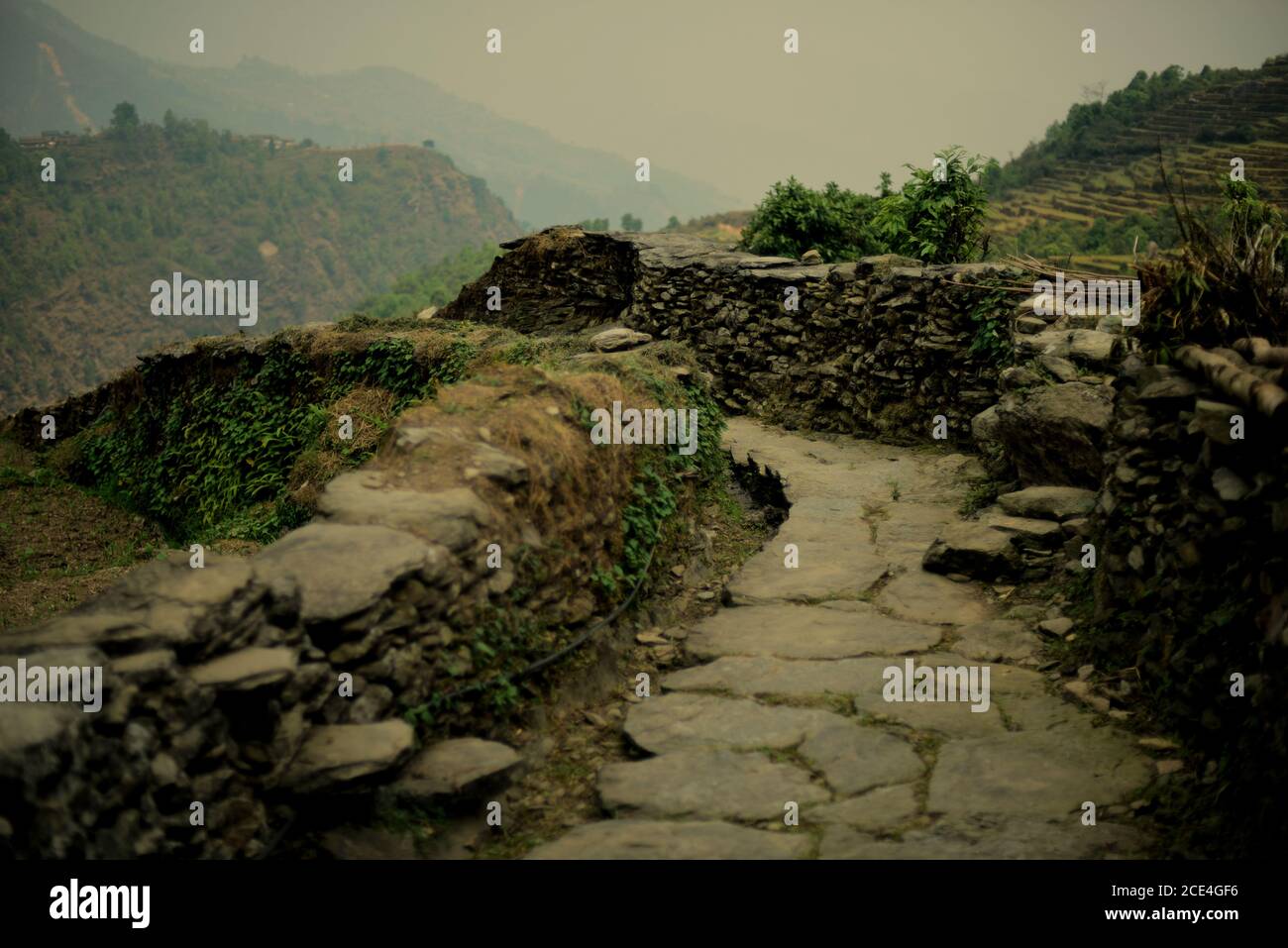 Sentier lapidé dans le village agricole de Sidhane, dans la région montagneuse de Panchase, au Népal, où la communauté gère l'écotourisme. Banque D'Images