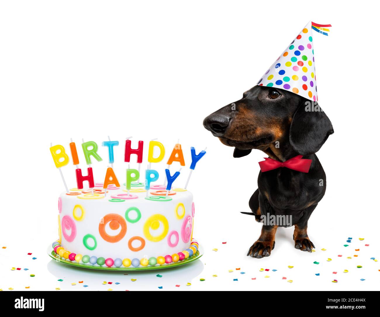 Anniversaire De Chien Banque D Image Et Photos Alamy Anniversaire De Chien Banque D Image Et Photos Alamy
