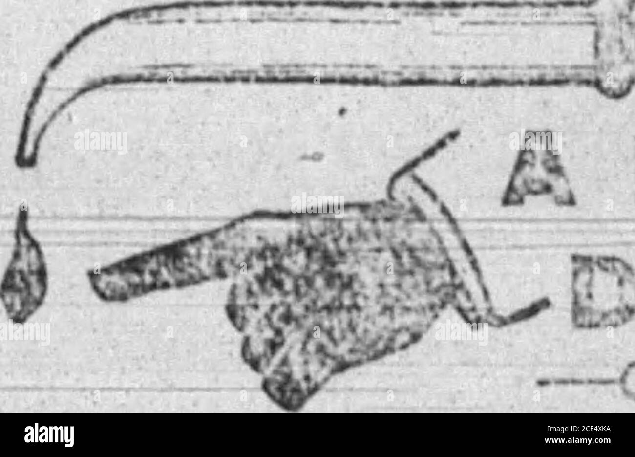Boone County Recorder John Giesler Executeur Erlanger Ky Un M Miller D Elizabeth Town Ohio Etait A Burlington Lastthursday Chassant Pour Le Tobuy De Porcs Il A Dit Que Les Arbres Et
