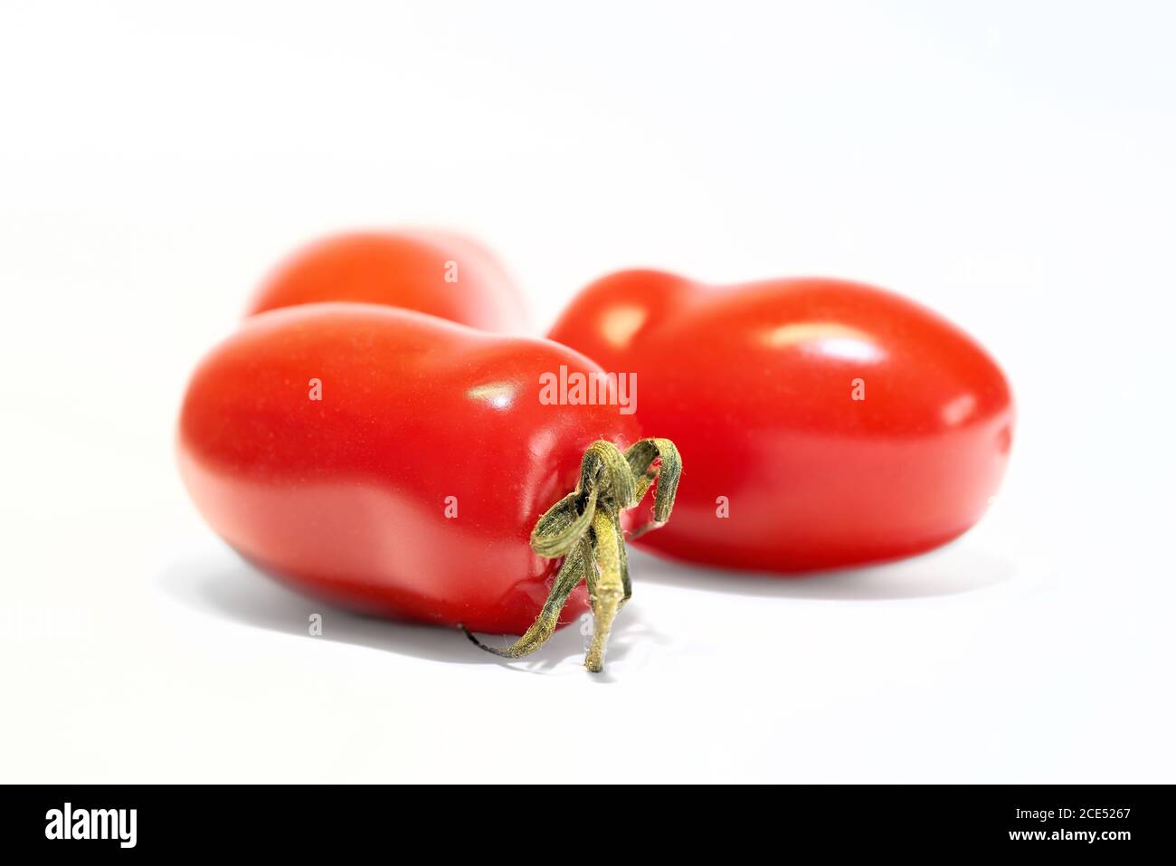 Tomates Roma mûres (Solanum lycopersicum) sur fond blanc Banque D'Images