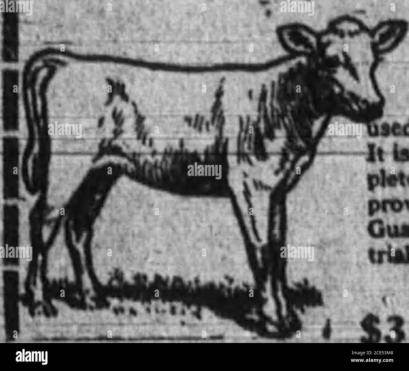 . Boone County Recorder. Ison Ave., * Covington, Ky. 1830-1831. 729-31 Monmouth St, jj Newport, Ky. # 2485-2486. CASSIDY VINGT-HUITIÈME WEEKTY-SPÉCIAL. | COLUMBIA IGNITOR DRY BALTERY—inspecté, testé, fiable^le Columbia incarne le plus haut degré d'efficacité connu. Courant fort, récupération rapide, éco- [nomique—en un mot—LE MEILLEUR. La plupart des magasins facturent 26c.our puce 20c chacun, ou dans une douzaine de lots Ree notre nouvelle gamme d'outils et de fournitures automobiles. 18c jgN Iereooe la production de lait de votre hart-Bow aux veaux rapidement et économiquement o i Rydes Cream Calf repas MEILLEURS veaux FOK Banque D'Images