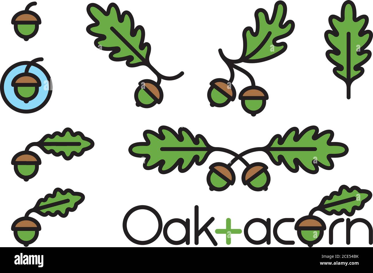 Ensemble de 9 éléments en forme de feuilles de chêne et de glands. Illustrations décoratives de la nature vectorielle avec contour audacieux. Illustration de Vecteur