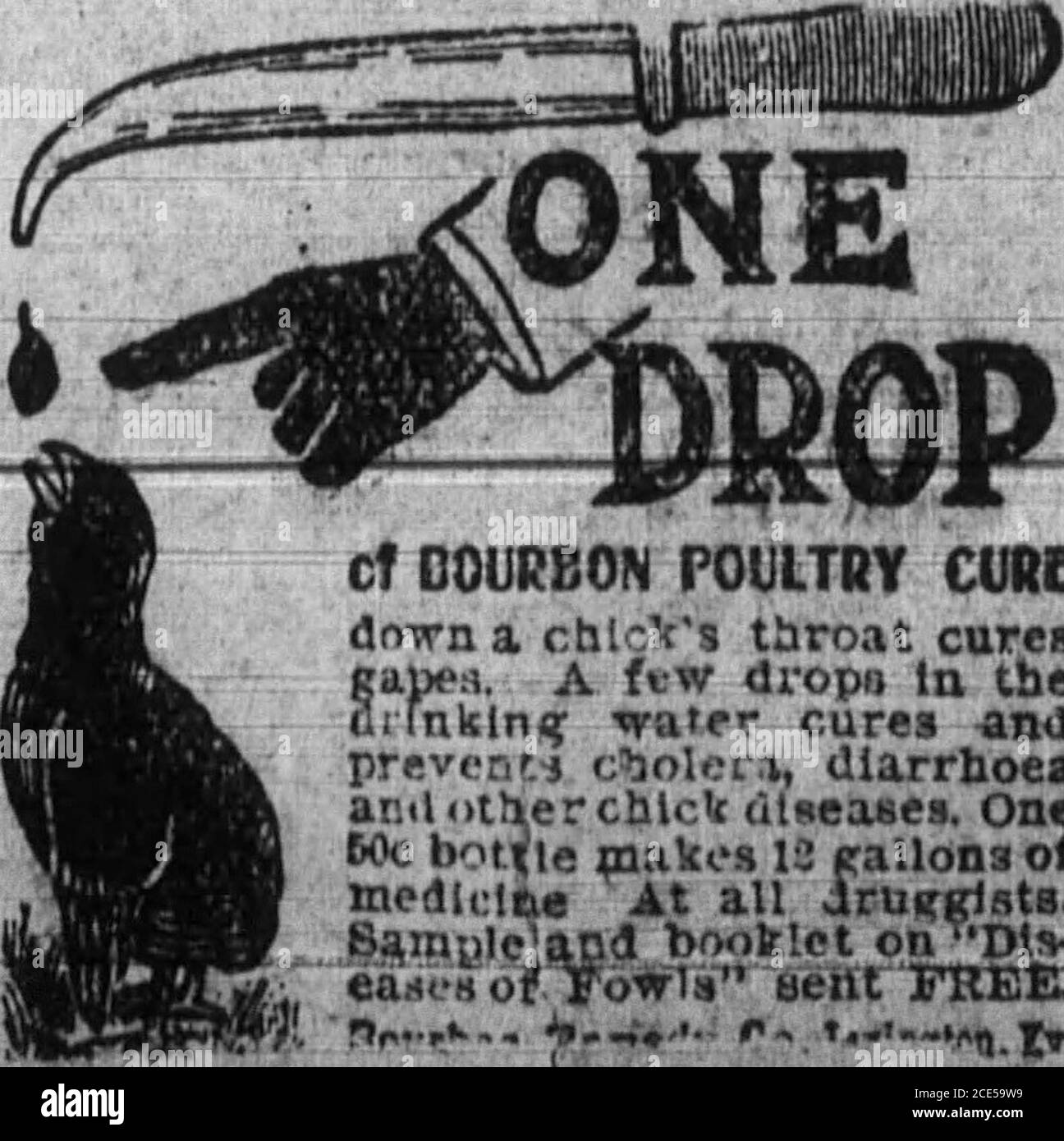 . Boone County Recorder W. À VENDRE PAR . RACHAL & GO. UNION, KENTUCKY. i  ^^^^WMmwmyifW^J^W^BM^mM0^k4 J. F. KEISWETTER RUO&JIADE DE VIEUX TAPIS à air comprimé nettoyage, repose, couture et pose de tapis. Emballage et épreuve StoredMoth. Nettoyage des tapis orientaux une spécialité. A Phone South 250 Pike Street, COVINGTON, KY. B. P. oeufs pour Salo. Stock cette année à partir d'un stylo de fivehens qui a gagné la coupe à un concours mené par le soir Post et Home and Farm à Frankfort, Ky.$l.Q& par cadre de 16 oeufs. BabyChicks IFIR.fmtH chacun. MB8. B. O. GRADDY, Burlington, Ky., R. D. 1.Consolidated Telephone Co Banque D'Images