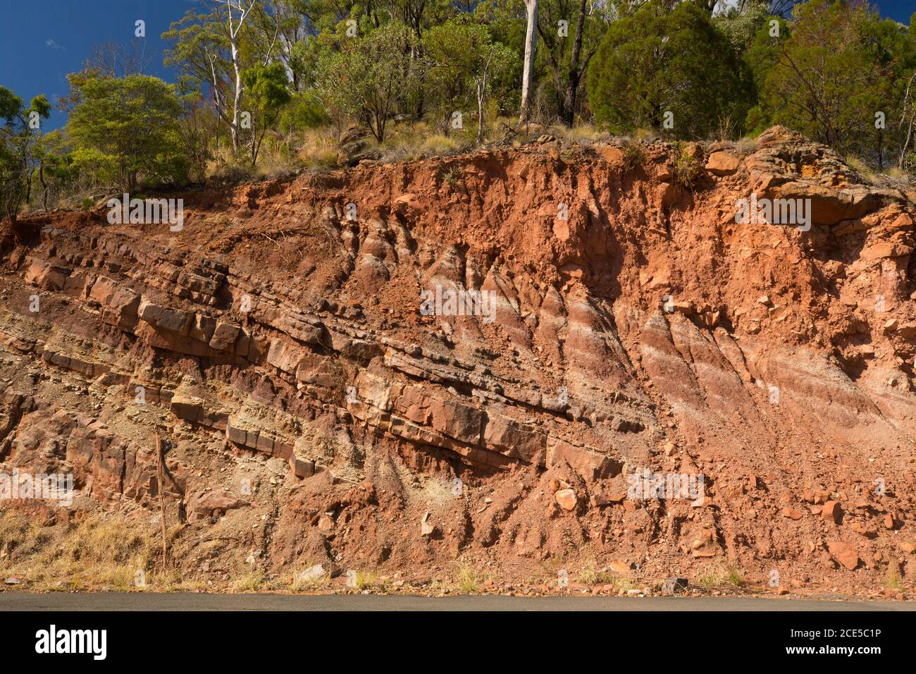 Différentes couches de sols rouges colorés lors de la découpe au bord de la route avec rive surmontée d'arbres en Australie Banque D'Images