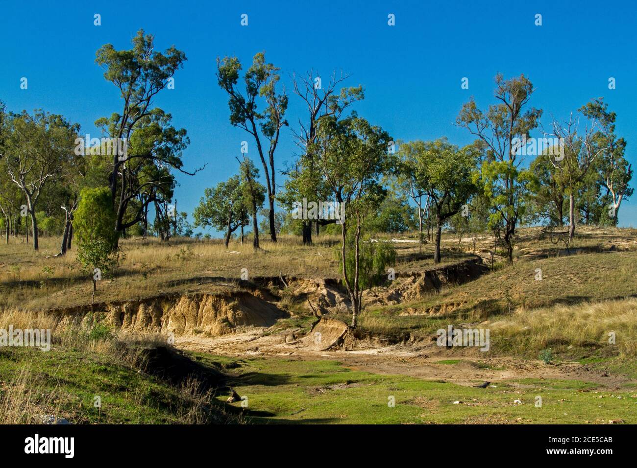 Paysage rural australien avec un goulet fortement érodé au pied de colline basse parsemée d'arbres sous ciel bleu Banque D'Images