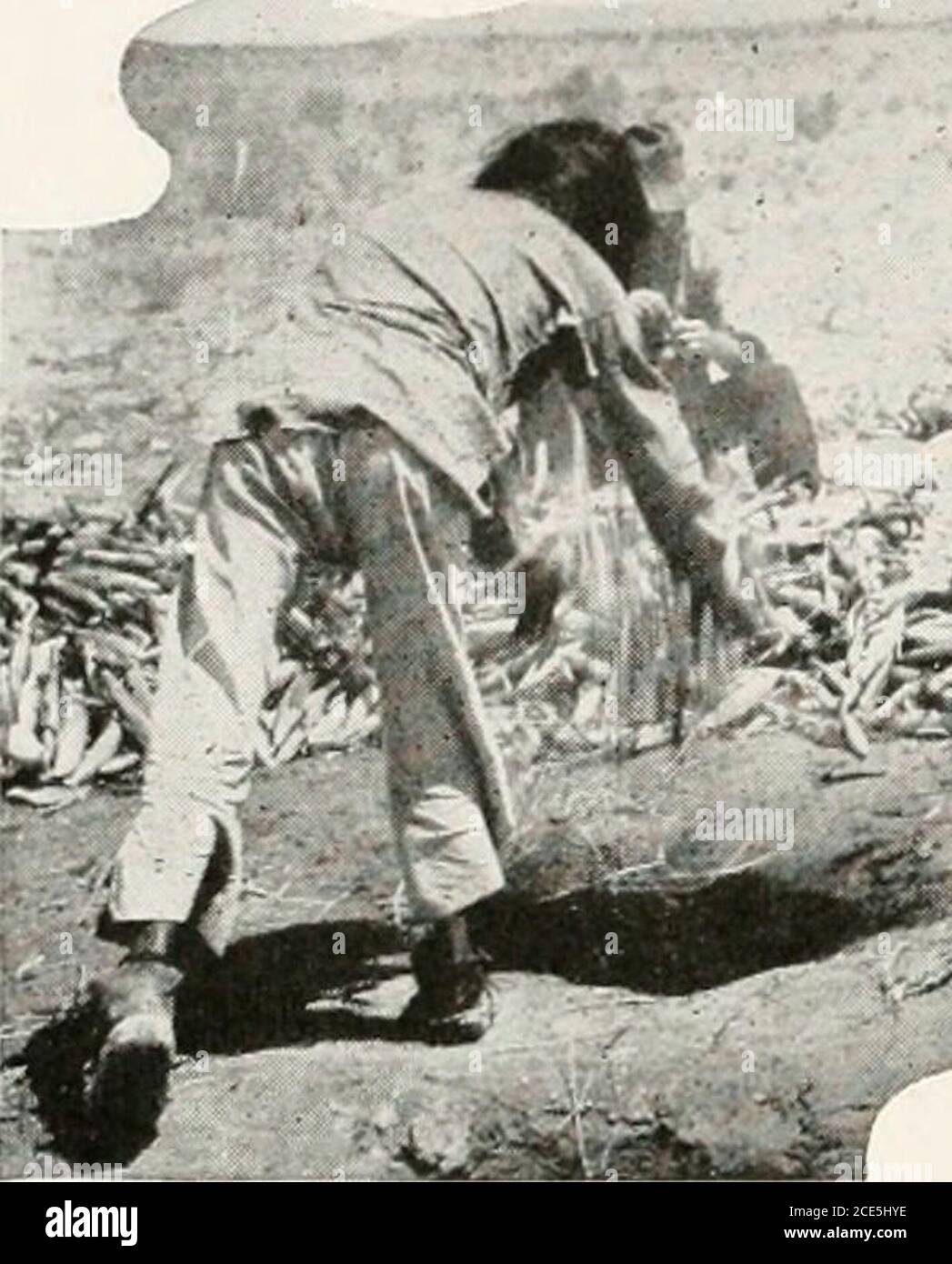 . Les secrets de santé des Indiens : ou, ce que la race blanche peut apprendre de l'Indien . l sortes de choses que les gens ordinaires mangent. Mais je veux protester contre la manifeste ostentatoire et extravagante de notre hospitalité, et aussi contre l'injuriosité du muchof quand il s'agit de la question alimentaire, et de commenter l'esprit et la méthode de la manière indienne. Les Iffriends viennent de façon inattendue dans une maison indienne, on s'attend à ce que les theyare se rendent à la maison. Ils sont invités au tableau de fête pour manger, mais ils sont attendus à partager le repas comme une question bien sûr.l'hospitalité n'est pas une chose de inv Banque D'Images