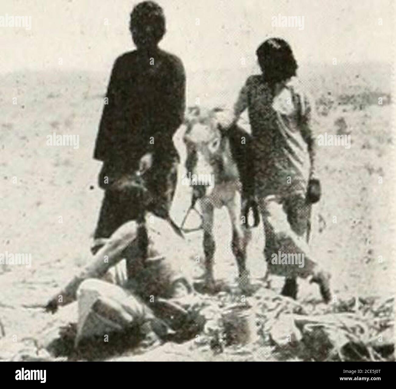 . Les secrets de la santé des Indiens : ou, ce que la race blanche peut apprendre de l'Indien . HOPI INDIANA CUISINE CORNIN UN FOUR SOUTERRAIN. Que je suis censé m'asseoir et manger du frugalmeal que la famille a préparé pour elle-même. Mon affirmation est que c'est le véritable esprit de la hos-pitalité. Vous vous sentez comme à la maison. Vous êtes une de la famille. La formalité est délivrée avec; vous êtes chaleureusement accueilli, et fait tofeel à l'aise. C'est d'être à la maison, c'est théamical, l'humain, la chose humaine à faire. Le travail d'Unneces-sary est évité; le visiteur n'est pas affligé en voyant son Banque D'Images