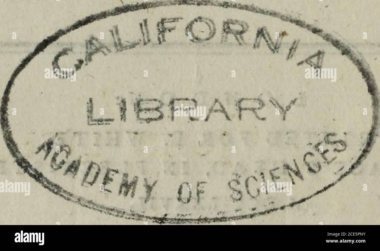 . Flora scotica: Ou, UN arrangement systématique, dans la méthode Linnæan, des plantes indigènes de l'Écosse et des Hébrides . a^d//y^i6^u/YYJ re//.ti//IJ. J^3(99. L o :s^ a) o est^ MDCCLXXVII ^^y/u .^. ^ .y^^..wy..-: FLORA SCOTICA: O R, UN ARRANGEMENT SYSTÉMATIQUE, DANS LA MÉTHODE LINNiEAN, DE T H £ PLANTES INDIGÈNES D'ÉCOSSE ET LES HÉBRIDES- par JOHN LIGHTFOOT, A. M. Ke<5lor de Gotham à Notinghamfiire, et aumônier au Duchef^Dowager de Portland. Où fait la Wifdom et la puissance divinC*dans un fweet plus lumineux et réflexion fhine ?où sommes-nous plus fins ftrokes et couleurs feeOf les créateurs de vrai po Banque D'Images