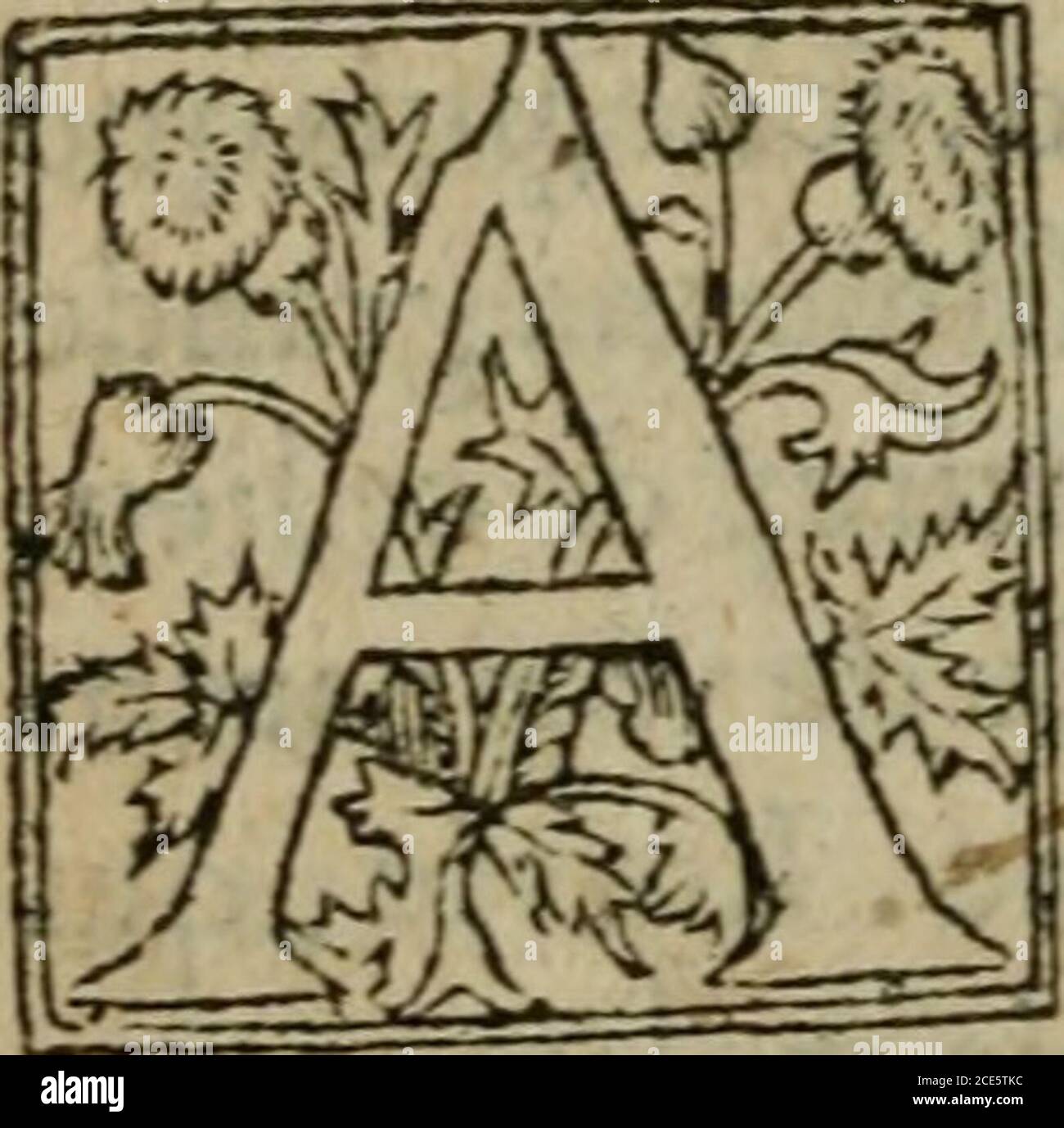 . Premier livre d'Amadis de Gaule; . vu il auoit laifîc Amadis* Chapitre XVII. Graics retourné de lentreprefe deGaule, après quAmadis eut vaincule roy Abies dTrláde, et que fes pe-RE U simple leurent cogneu, Come cydcuát auez entèdu, adrelfa fon che-min paifer en Noruege, Lin-in-in-in-in-in-in-in-in-in-in, in-in-in-in-in-in-in-in-in-in-in-in-in, in-in-in-in-in-in- Defait mit fon vouloir à exécution, telequaprèsquil eut tout le io ur pourchaifé fa venaifon, de fortune fe trouua au plus hault dvne motaigne, de laquel-le pouuoic ayfant votion à mer Banque D'Images