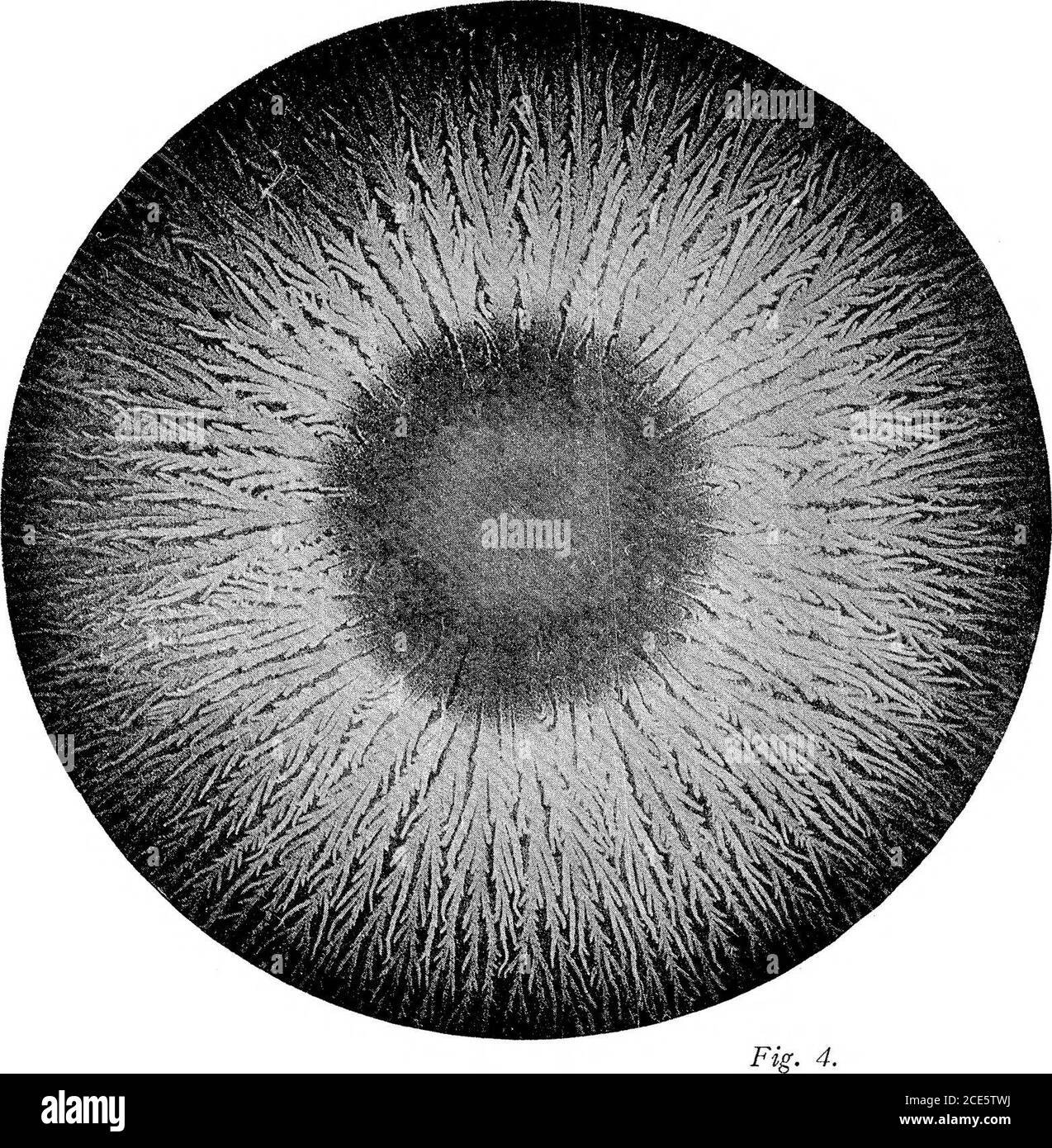 . Stress et autres effets produits dans la résine et dans un composé viscid de résine et d'huile par électrification . e procédé de poussière de Lichtenbergavec l'effet de contrainte décrit dans cet article. La Modificationvisée consiste à permettre à la poussière, le mélange de plomb rouge et de soufre proposé par Lichtenberg, d'être draiée à la surface él-trifiée à partir d'un nuage de poussière. Cela aide à la sélectiveappropriation des deux substances, donnant une couleur plus rouge sur les parties électrifiées de la figure, et une couleur jaune sur les parties positives ; et montrant ce que la figure de stress seule Banque D'Images