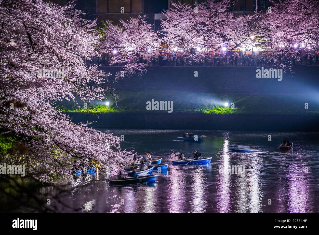 De Chidorigafuchi qui va voir des cerisiers en fleurs la nuit Banque D'Images