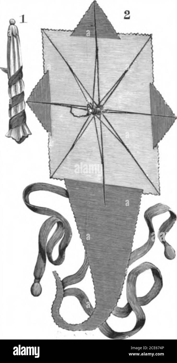 . Scientific American Volume 75 Numéro 17 (octobre 1896) . offee planterformerly exécuté theselaborious opérations par le handon très brut appareil, butnow les grandes plantations comprennent gen-erally un depensiching jjjlant, comme perfectlyarrangé comme un moulin à farine et géré par un habile étranger. M. S. E. Worrell, de Hanni-bal, au Missouri, a construit et intro-conduit une ma-chine de séchage réussie, qui est illustrésci. Figure 3 est une vue rétrospective de la machine à grande taille. N° 4, ayant l'acpacité pour la manipulation de 10000livres de café lavé par jour de vingt-quatre heures, dans lequel le cyli de séchage Banque D'Images