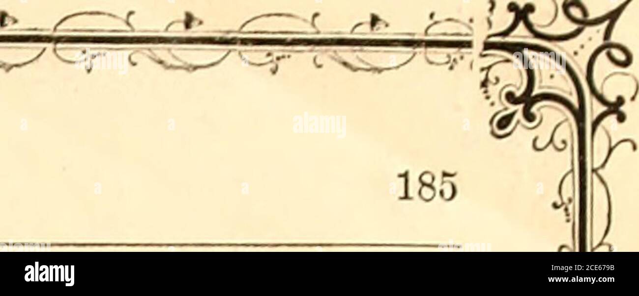 . DeMorest's Illustrated Monthly et Mme Demorest's mirror of Fashions, 1865 avril . :X-r» et gt;- Apbil, 18G5.] DEMOKESTS ILLUSTRÉ MENSUELLEMENT. ^ à. viennent enfin et trembla, mais les wordsqui tomba de ses lèvres se sont presque transformés en pierre. Ils étaient ceux-ci : Elsie, ma femme est arrivée de Cuba, à ce jour; ah! vous ne saviez pas que 1 était marié, personne ne l'a fait ici. Vous voyez des sheis plus vieux que moi, et très simple, riche et je ne l'ai jamais aimée. Oh!Elsie, je suis très misérable. Si elle l'aimait comme il pensait shedied, elle aurait peut-être perdu la vie au sifflement, mais insultée comme elle se sentait, sous soulagement d'allis. Elle se tenait Banque D'Images