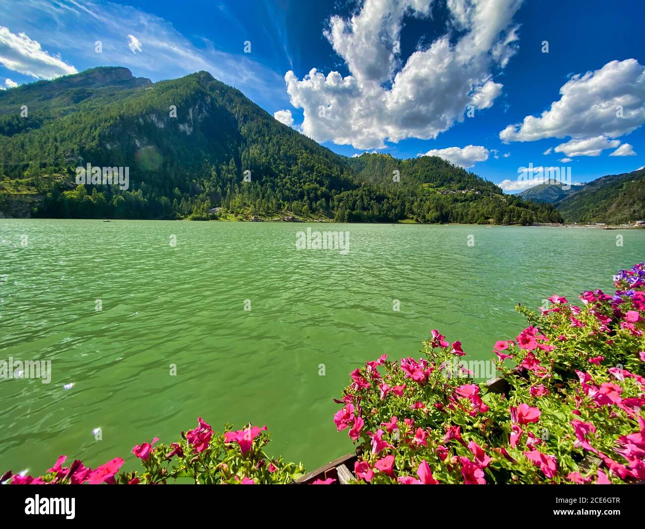 Beau lac d'Alleghe en été, Italie. Banque D'Images