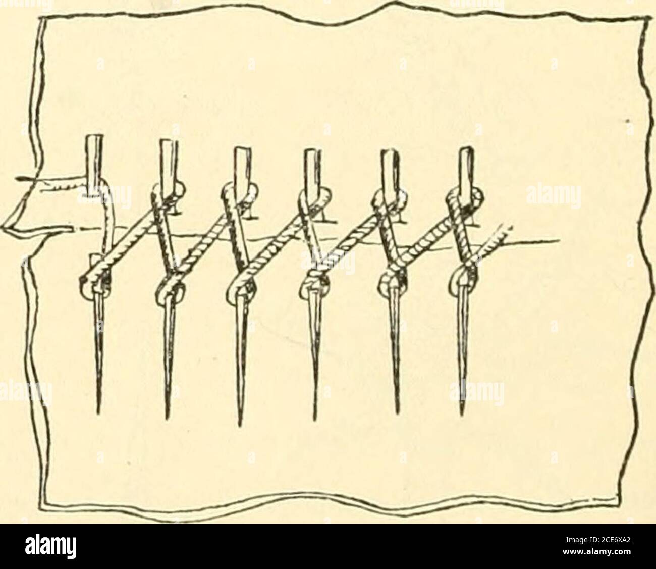 . Rapport annuel du Conseil d'administration de la Smithsonian institution . ^ les Indiens Mohave du Colorado Hiver.Fishhooks avec des queues droites de boneet des barbes de cactus épines ont été creusés par l'écrivain des tombes préhistoriques atrica, sur la côte du Chili, en 1887.ils ont été associés avec d'autres articlesfabriqués de cactus épines, comme les aiguilles et les peignes. En décembre 1891, l'écrivain a aidé à l'ouverture de plusieurs autres tombes à Iquique, sur la même côte, dans laquelle on n'a pas trouvé des onlyhooks et des aiguilles de la même description, mais des exemples d'intérêt de l'application des épines de cactus à Banque D'Images