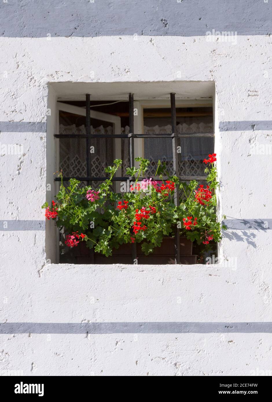Fenêtre avec fleurs sur le mur du bâtiment. Banque D'Images