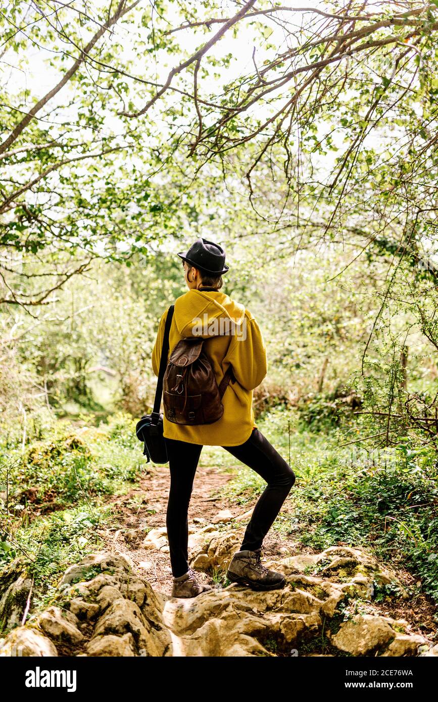 Vue arrière d'une touriste féminine tranquille dans une tenue élégante dans les bois verts et profiter de la nature Banque D'Images