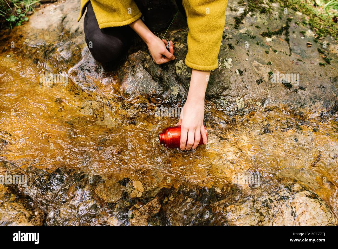 Du dessus de la récolte une femme assoiffée et méconnaissable en vêtements d'extérieur l'eau du ruisseau tout en se reposant dans la forêt verte Banque D'Images