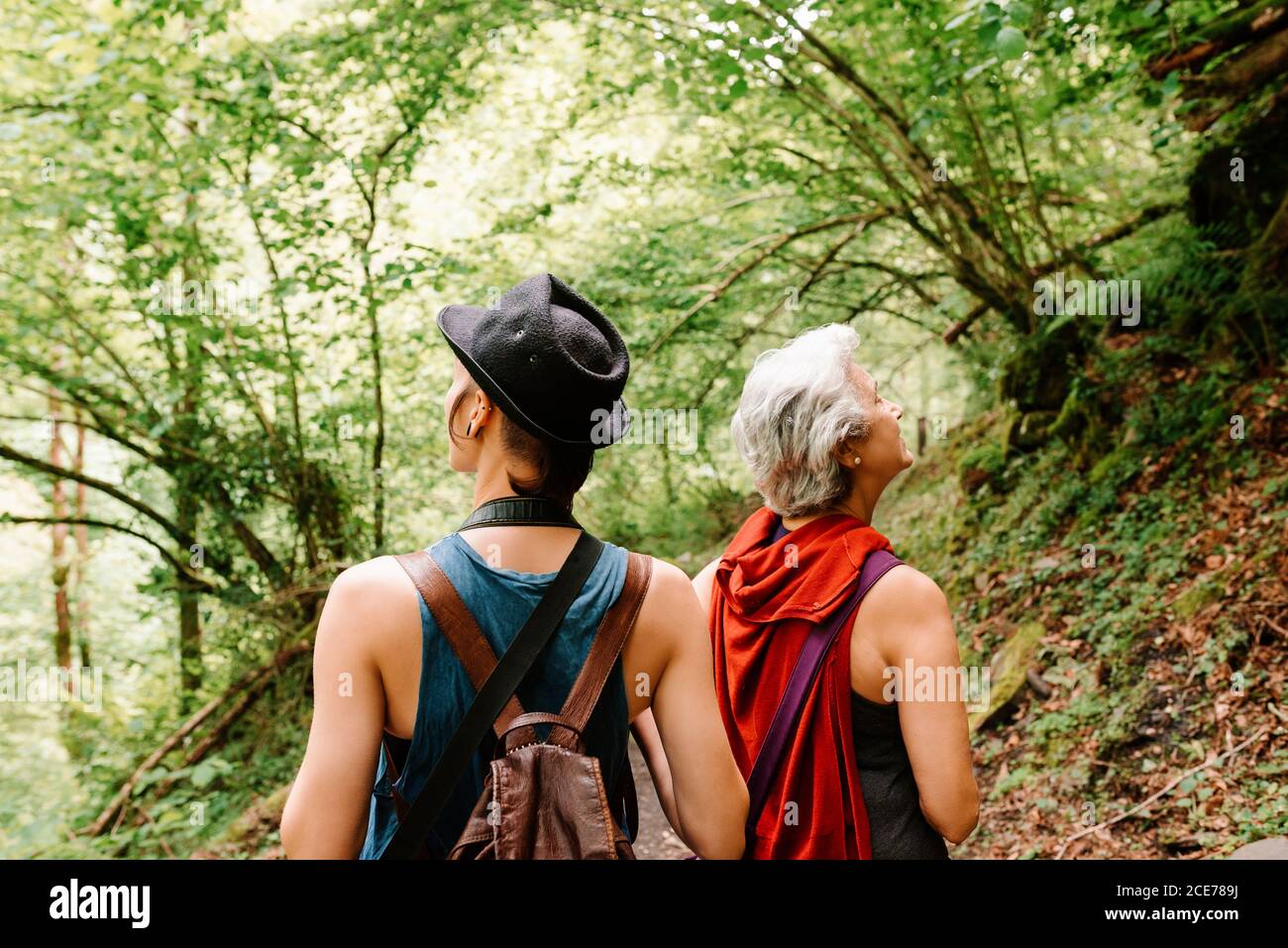 Vue arrière de la jeune femme androgyne et de la femme senior en admirant paysage de bois pittoresque pendant les vacances Banque D'Images