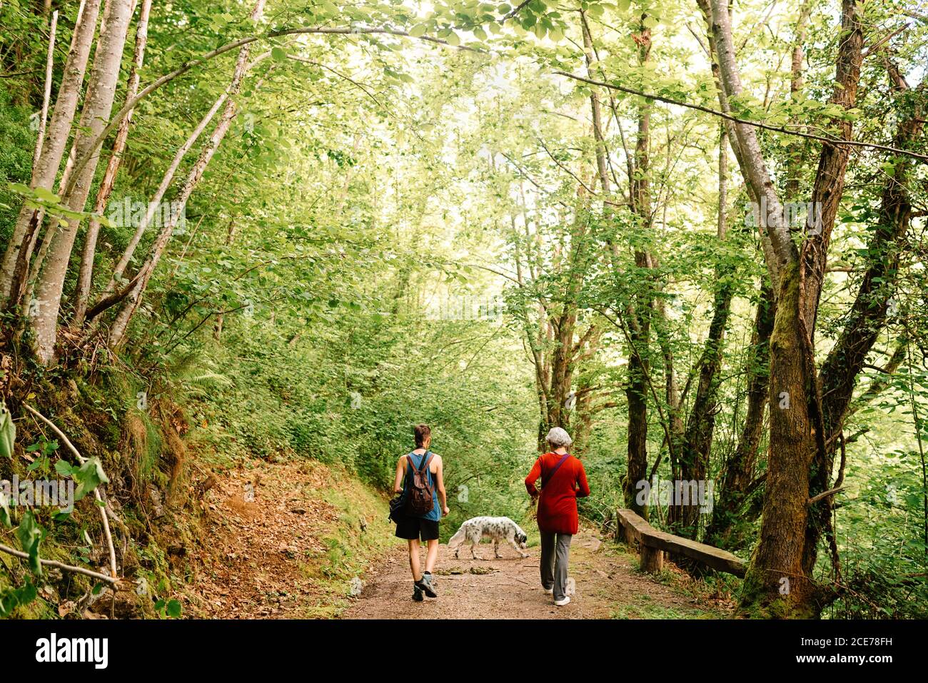 Vue arrière de la jeune femme androgyne et de la femme senior en admirant paysage de bois pittoresque pendant les vacances Banque D'Images
