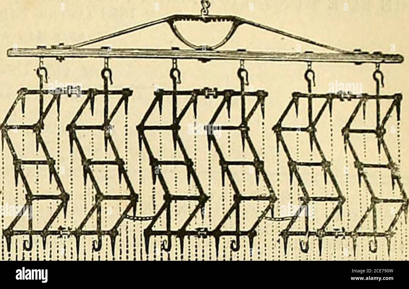 . La chronique des jardiniers et la Gazette agricole . OUTILS HOWARDS PRiZl. luo-9.TAMES et FREDk. HOWARD, Britannia Ironrj Works, Bedford, supplie d'attirer l'attention sur les PRIX DE l'irPATENT,. A J. BOOT, Lloyd Street, Hulme, Manchester,• appelle respectueusement l'attention de la noblesse, Gentry, nurserymen, et les jardiniers à ses ÉTIQUETTES ANTI-CORROSIVEMARKED DE BREVET. Le métal indestructible dont les théyes sont fabriquées, les lettres profondes et lisiblement marquées, et leur neatness de design, les rendent indispensables dans chaque bâtiment horticole bien dirigé, jardin, ou verger, où sombre deben Banque D'Images