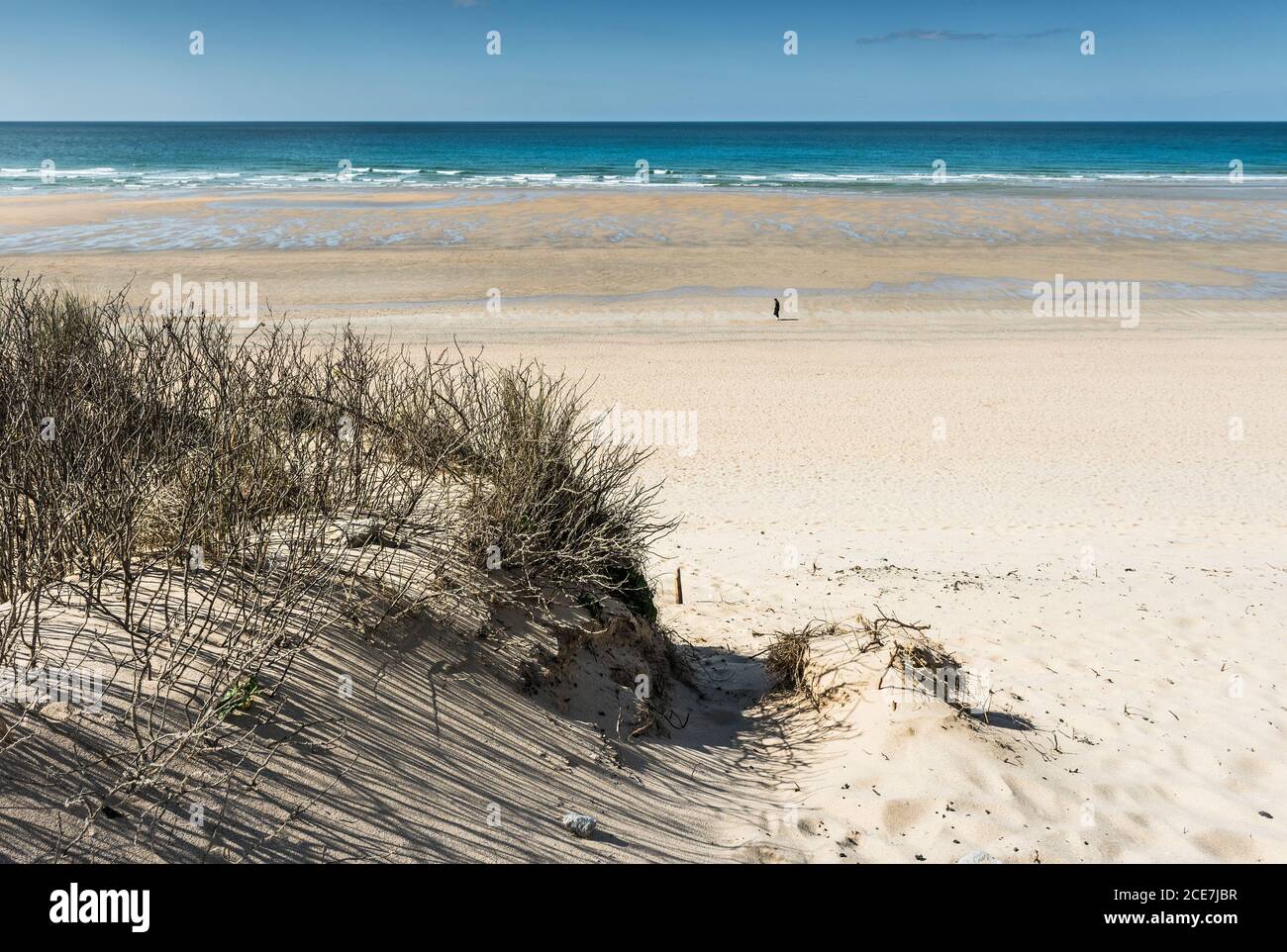 Végétation qui pousse sur le système de dunes de sable surplombant une plage de Fistral totalement déserte à Newquay, en Cornwall. Banque D'Images