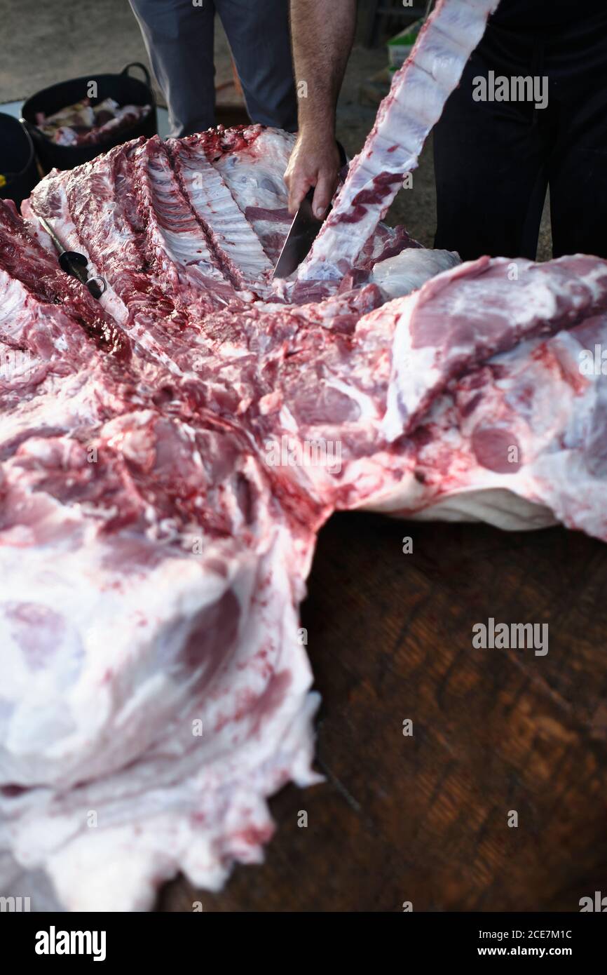 Bouchers anonymes à grand angle de récolte coupant de la viande de porc table en bois pendant la production du produit traditionnel à la ferme Banque D'Images