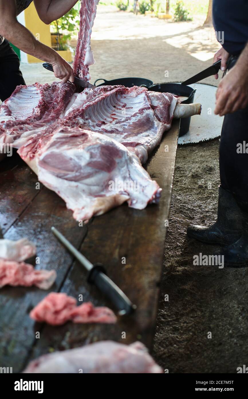 Bouchers anonymes à grand angle de récolte coupant de la viande de porc table en bois pendant la production du produit traditionnel à la ferme Banque D'Images