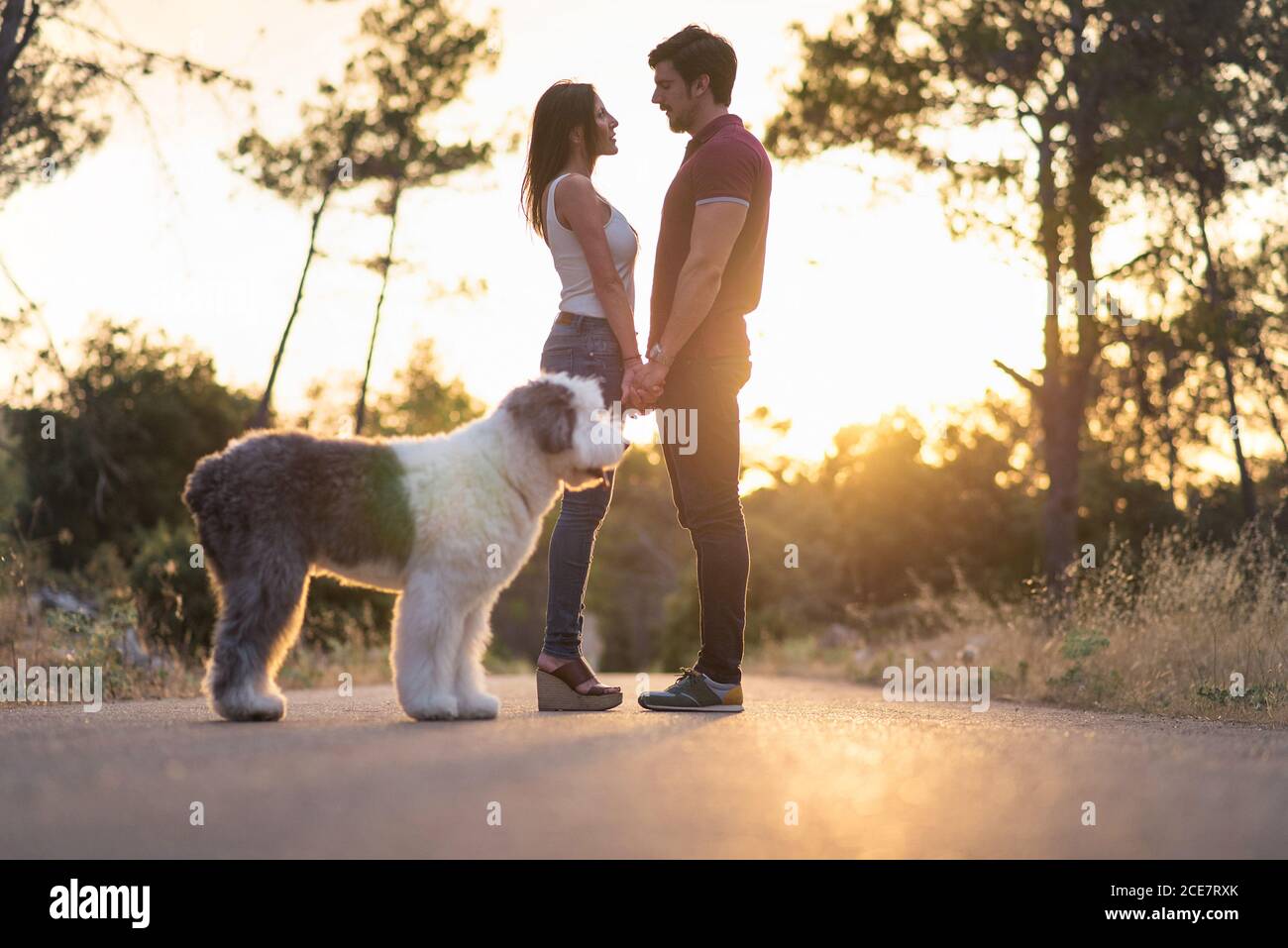 Vue latérale d'une petite amie sereine et d'un petit ami debout sur la chaussée Avec le chien de berger anglais ancien et profiter d'un coucher de soleil incroyable en été Banque D'Images