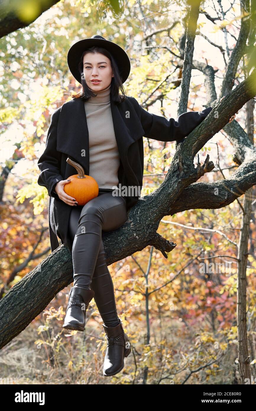 Femme en noir sur un arbre avec la citrouille d'Halloween dans la forêt d'automne, personnage de sorcière Banque D'Images