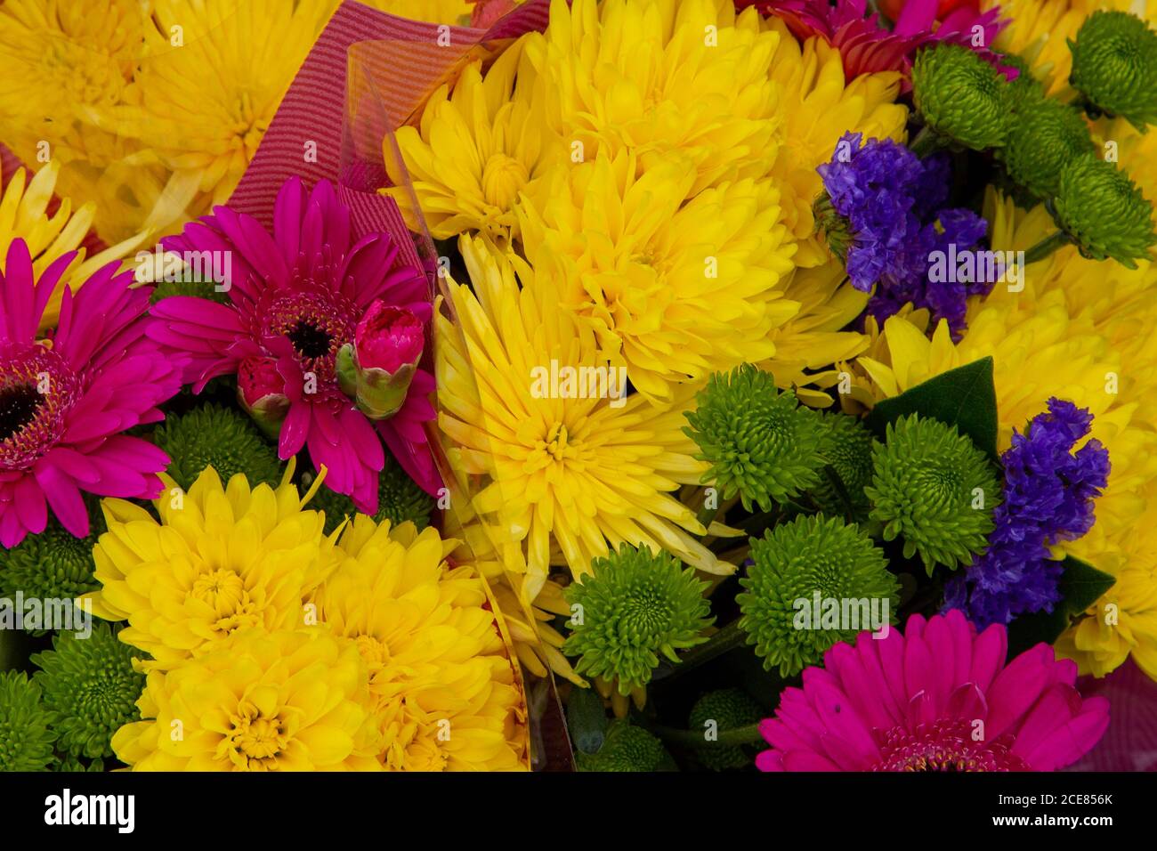 un gros plan de bunches de fleurs d'été Banque D'Images