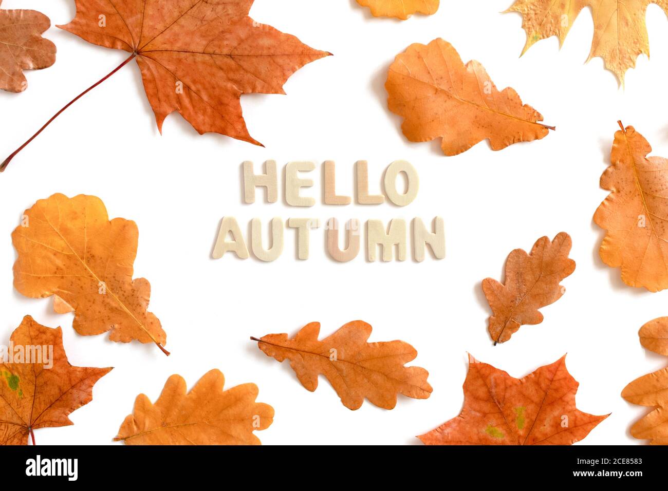 Composition D Automne Avec Citation Hello Automne Fait De Lettres En Bois Sur Fond Beige Texture Photo Stock Alamy