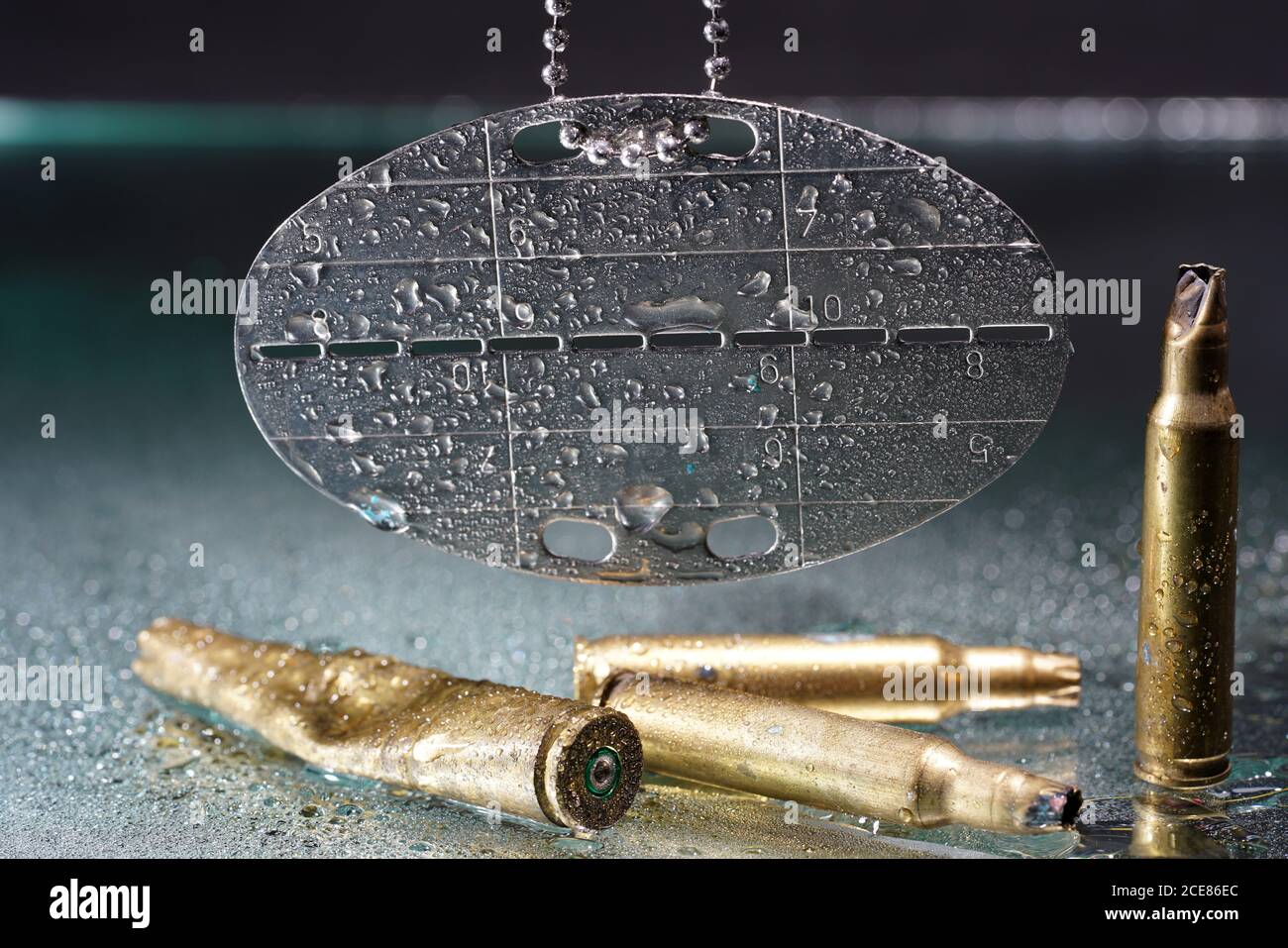 Gros plan de munitions et d'une étiquette métallique pour chien avec gouttes d'eau Banque D'Images