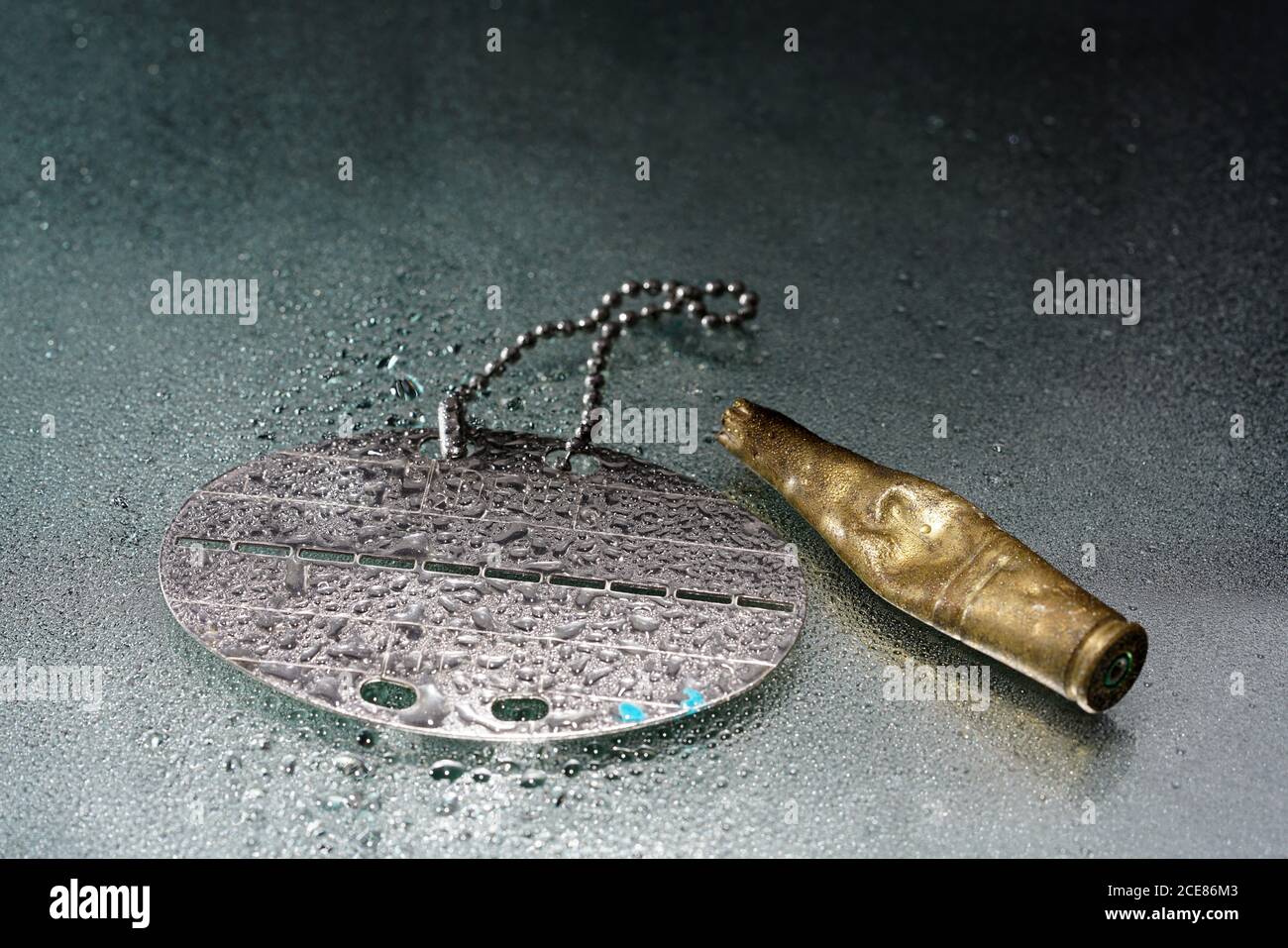 Gros plan de munitions et d'une étiquette métallique pour chien avec gouttes d'eau Banque D'Images