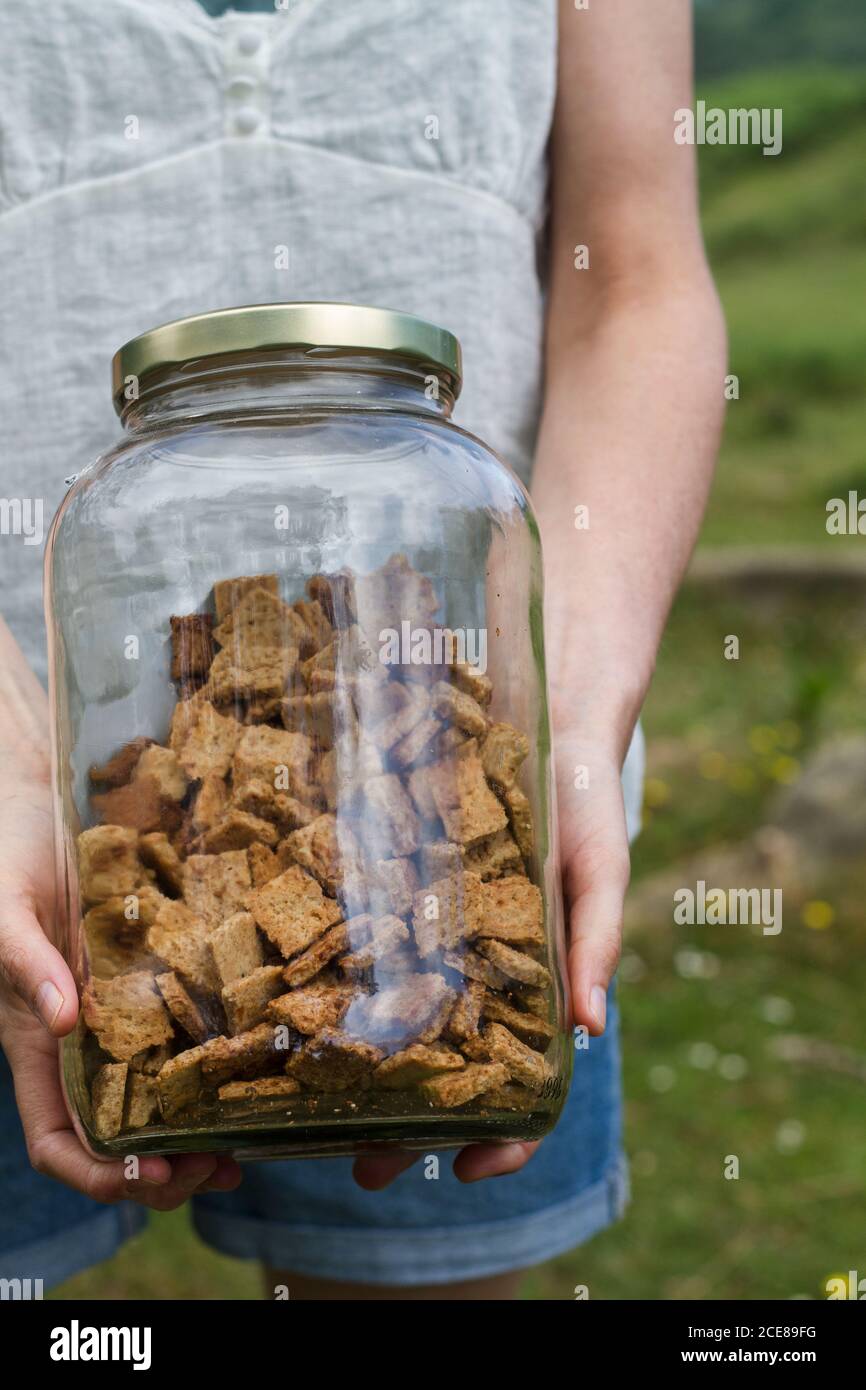 femme sans visage en été vêtements debout sur prairie avec verre bol de céréales à la cannelle croustillantes Banque D'Images