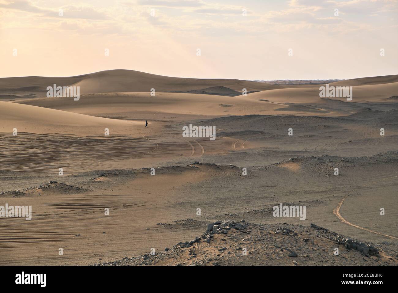 Vue pittoresque sur le désert avec des dunes de sable près de la petite brute pierres sur terrain sec sous un ciel serein le soir Banque D'Images
