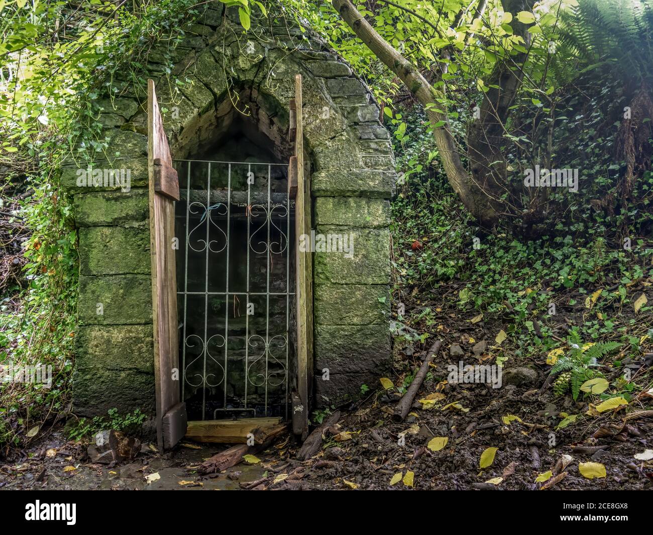 St Nectans Well, Stoke Hamlet, Hartland, Devon, Royaume-Uni. Banque D'Images