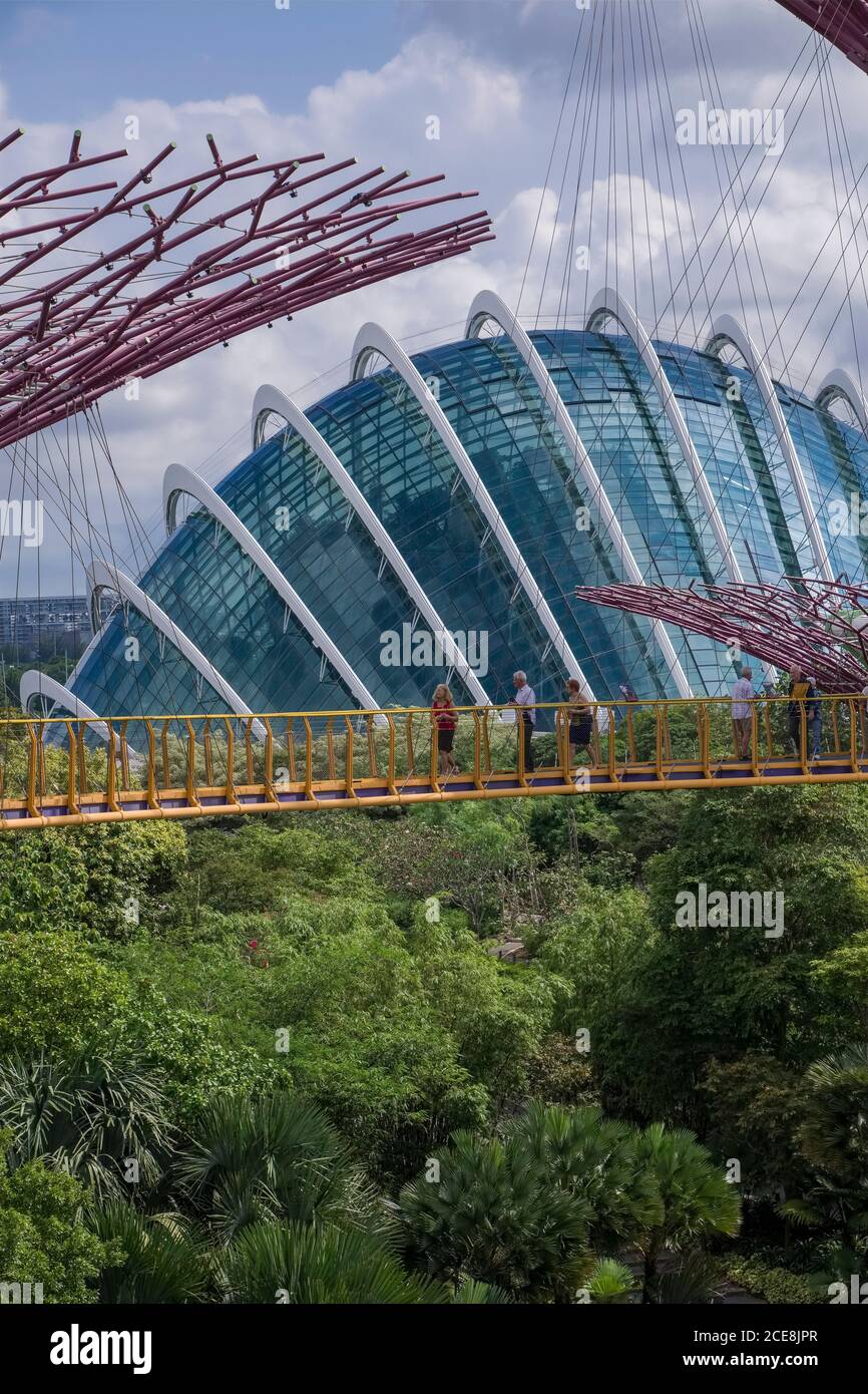 Singapour : Flower Dome à Gardens by the Bay, vue depuis la passerelle aérienne de Supertree Banque D'Images
