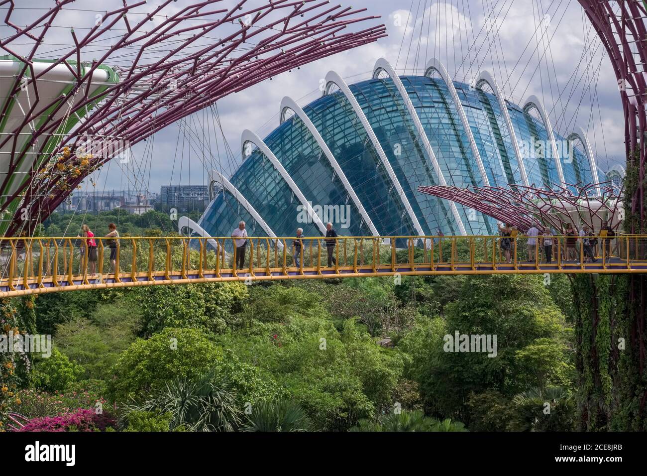 Singapour : Flower Dome à Gardens by the Bay, vue depuis la passerelle aérienne de Supertree Banque D'Images