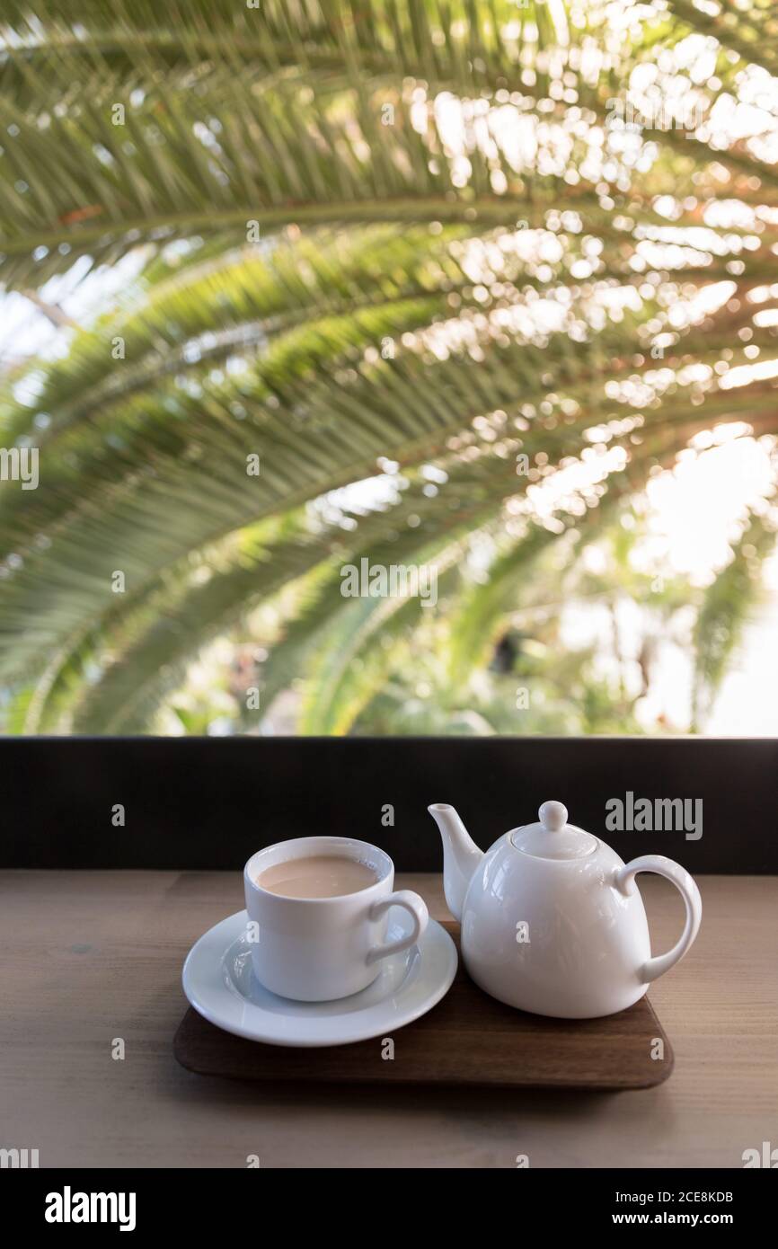 Théière blanche avec tasse de thé Masala sur la table près d'un palmier et lumière merveilleuse avec rayons du soleil, verticale Banque D'Images